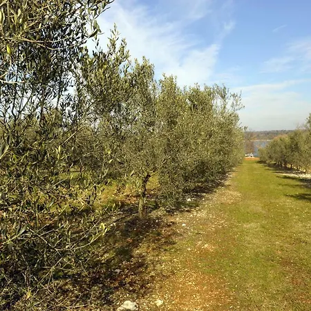 Casa vacanze House Lena Porec