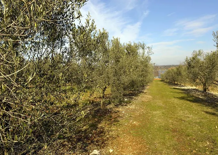 Nyaraló House Lena Poreč